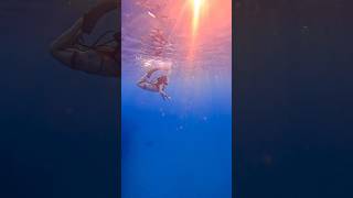 ☀️ underwater sunset freediver freediving [upl. by Esmerolda]