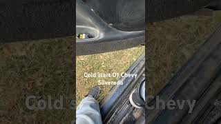 2001 Chevy Silverado 1500 cold start [upl. by Riaj132]