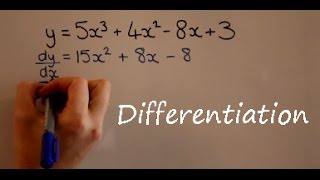 Differentiation [upl. by Elyac]