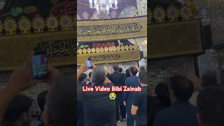 Rauza E Bibi Zainab SA 😭💔😭 Subscribe viralvideo shorts Sham karbala iraq [upl. by Eecram300]