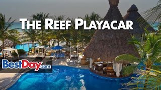 The Reef Playacar [upl. by Harve203]