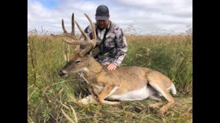 Velvet Archery Buck from Ground Blind [upl. by Emogene]