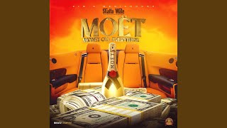 MOET Money Ova Everything [upl. by Haroppizt797]