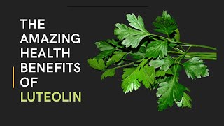 The Amazing Health Benefits of Luteolin [upl. by Antonie]