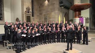 Johannes Brahms Waldesnacht  Stuttgarter Kantorei Kay Johannsen [upl. by Auria]