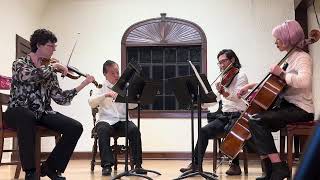 Inspiration String Quartet Perform Schuberts Rosamunde  Part 3 [upl. by Yetak531]