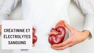 Créatinine et ÉLECTROLYTES SANGUINS [upl. by Gerard]