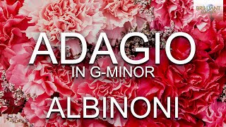 Albinoni Adagio in G minor [upl. by Atel2]