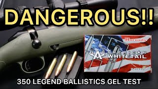 DANGEROUS LEGEND 350 Legend Hornady American Whitetail 170gr Ammo Test [upl. by Sheila882]