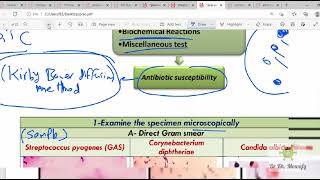 Micro practical Resp system Upperamplower resp tract infections DU [upl. by Dehlia]