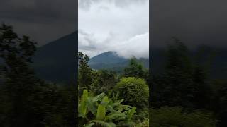 Deko☁️ jungle kitna beautiful 💗hai nature vlog minivlog youtubeshorts [upl. by Verada]