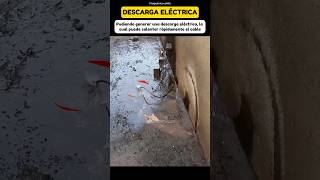 Serpiente eléctrica💀 ciencia fisica quimica mecanica viral [upl. by Asilec]