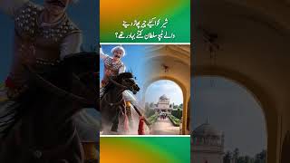 How brave was Tipu Sultan who singlehandedly mauled the tiger Part 2 [upl. by Marcile]