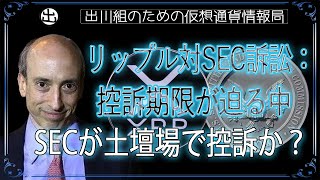 ［20240923］リップル対SEC訴訟：控訴期限が迫る中、SECが土壇場で控訴か？【仮想通貨・暗号資産】 [upl. by Germann]