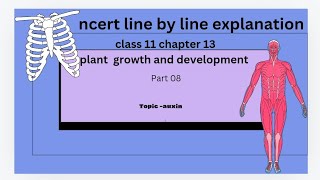 auxins ncert line by line explanation [upl. by Ataner]