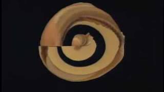 inner ear visualization [upl. by Sauveur]