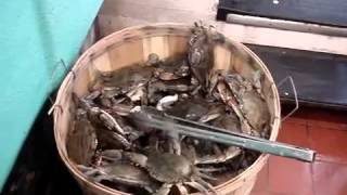 The Crabs In A Bucket Principle [upl. by Brandes]