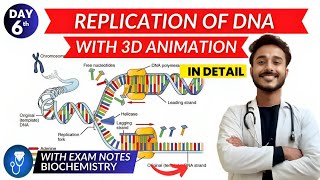 replication of dna biochemistry  dna replication in prokaryotes amp eukaryotes biochemistry [upl. by Ailesor735]