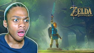 I FINALLY Found the Master Sword in Zelda  Breath Of The Wild 16 [upl. by Yardley]