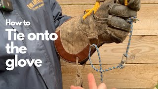 How to tie the falconers knot onto your glove  Falconry advice [upl. by Armando420]