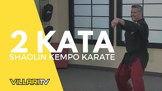 Learn 2 Kata from Grandmaster Villaris Shaolin Kempo Karate [upl. by Kennard]