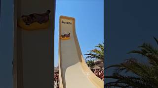 Boomerang  Acquafollie Caorle acting waterpark waterslide themepark acquafollie [upl. by Saxon481]