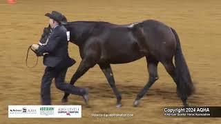 Select Showmanship  2024 AQHA World Championship Show [upl. by Eelyrehc]