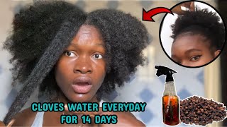 I’M STILL SHOCKED  I used cloves on my hair everyday for 2 weeks and this happened [upl. by Rani]