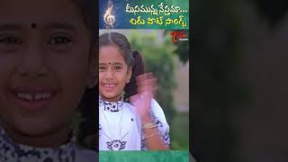 మీసమున్న నేస్తమా Meesamunna Nesthama Hit Song  Sneham Kosam Movie shorts youtubeshorts [upl. by Wickham]