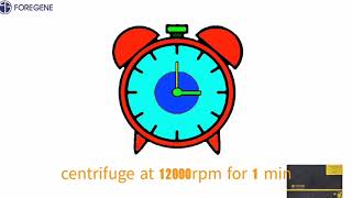 How to isolation total RNA from cells within 11 minutesthe operation guide [upl. by Howie]