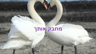 עד מחר  אביתר בנאי  מילים [upl. by Junina]