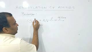 Benzoylation of Amine  Properties of Amines [upl. by Halivah806]