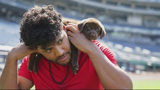 Adoptable puppies join players at Nats Park  Get Uplifted [upl. by Beetner]