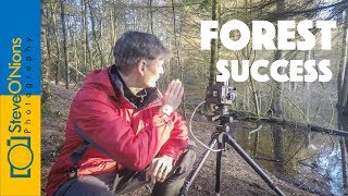 Landscape Film Photography  A Good Day in the Forest [upl. by Fagin615]