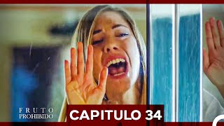 Fruto Prohibido Capitulo 34 Doblado en Español [upl. by Scarito]