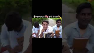 Marne ka lokgeet Ho jata hai kisi Ko itihaas kahate Hain laghu sar Ko khesari Lal ka gana🌹🥀🤣👌👍🎉💪 [upl. by Purcell]