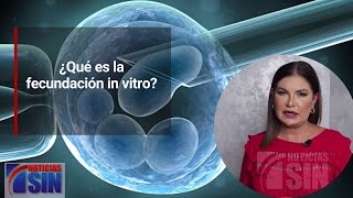 La Consulta ¿Qué es la fecundación in vitro [upl. by Heda]