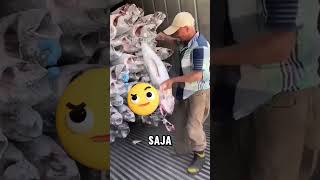 Cara bongkar muatan ikan tuna beku shortvideo feedshorts [upl. by Pallaten]