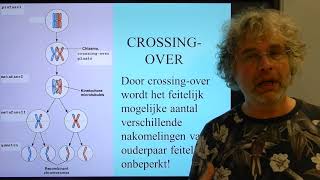 Biologie VWO BB Recombinatie en crossing over [upl. by Cacia332]