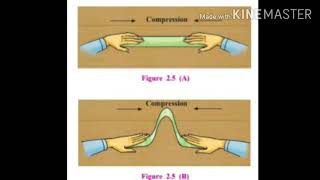 9th Geography Chapter 2 Endogenetic Movements [upl. by Vick736]