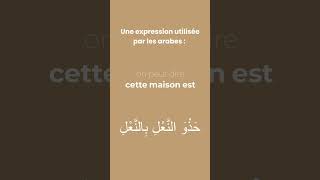 Une expression utilisée par les arabes [upl. by Niliac]