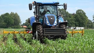 Mais schoffelen en onderzaaien  New Holland T6155  Busa KS8 en HeVa multi seeder 2019 [upl. by Nalyac]