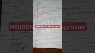 NEURON MSc Zoology notes [upl. by Tnirb]