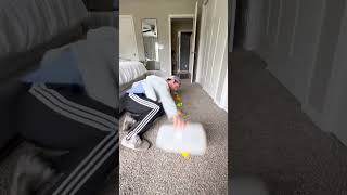 Daniel labelle video if cleaning was a timed sport [upl. by Sollie936]