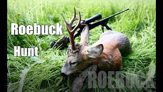 7mm Rem Mag vs buck Roebuck hunting 2017 Bockjagd 2017 [upl. by Tarazi10]