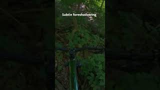 Subtle Foreshadowing on the Trail POV Mountain Biking Crash in Don Valley 🚵‍♂️💥 [upl. by Suoicul547]