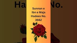 Sunnan e Ibn e Maja Hadees No 3662  Parentsrights over their children hadees pyaribaat islamic [upl. by Theressa]