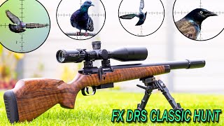 Calculated Shots  FX DRS Classic  18gr Pellets  Helix 1500  Titan 3K  Airgun Pest Control [upl. by Ardisj]