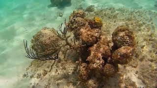 Loblolly Bay Anegada BVI [upl. by Fahey]