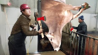 VIDEO Cow HOOF TRIMMING Feeding Milking Cleaning HOOF CARE Pretty Girl  SMART FARM withme [upl. by Adnarahs842]